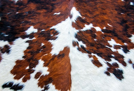 Cowhide